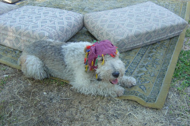 barbacoa Paco y barco Jóse 001