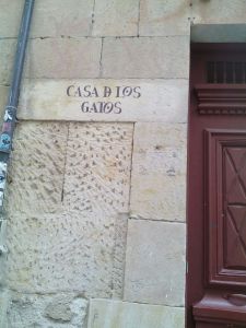 Casa de los gatos Salamanca