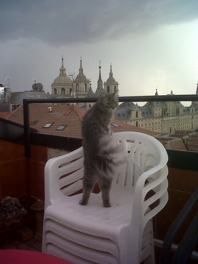 Dersu mirando Monasterio