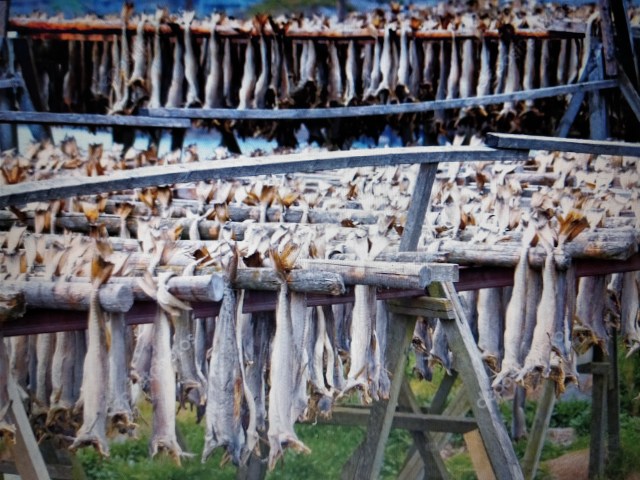 Ballenas secadero de bacalao