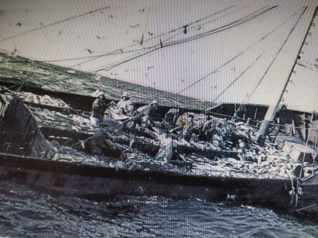 balleneros barco bacaladero