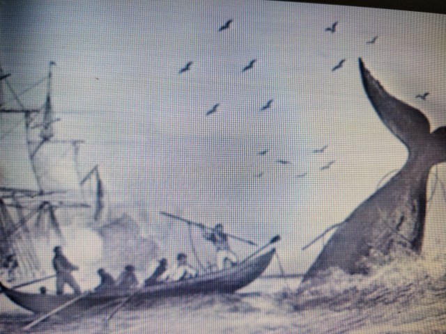 Balleneros chalupa 1