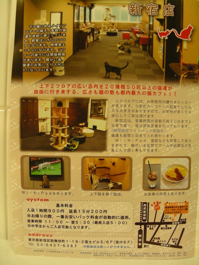 catalogo cat cafe 2