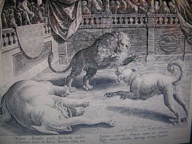 el moloso de alejandro