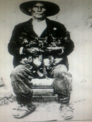 Lobero con cachorros