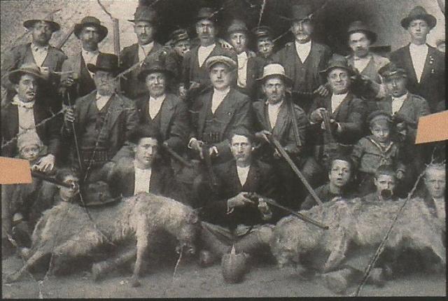 lobo caceria abruzzos 1900
