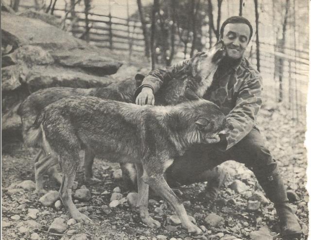 lobos y rodriguez de la fuente