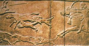 Molosos ninive la caza del asno