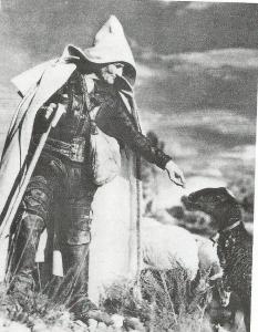 pastor castellano 20003