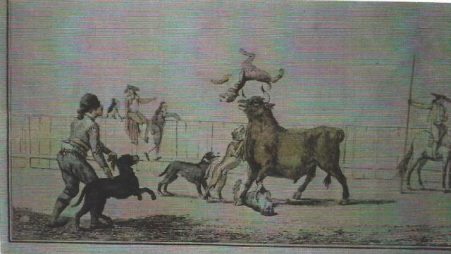 tauromaquia antonio carnicero