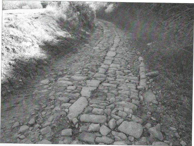 vias romanas0002