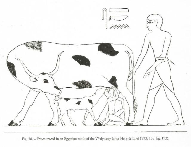 soplado Egipto Vª dinastía0002