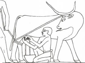 soplado Mastaba de Kagemni, Antiguo Imperio