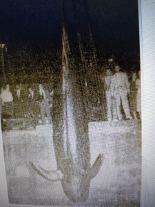 calderón de Franco,