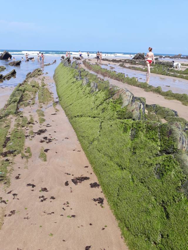 Playa de Barrika 4