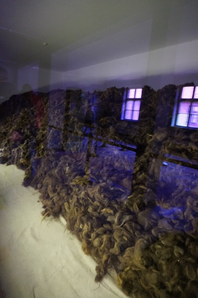 Auschwitz pelo humano 2