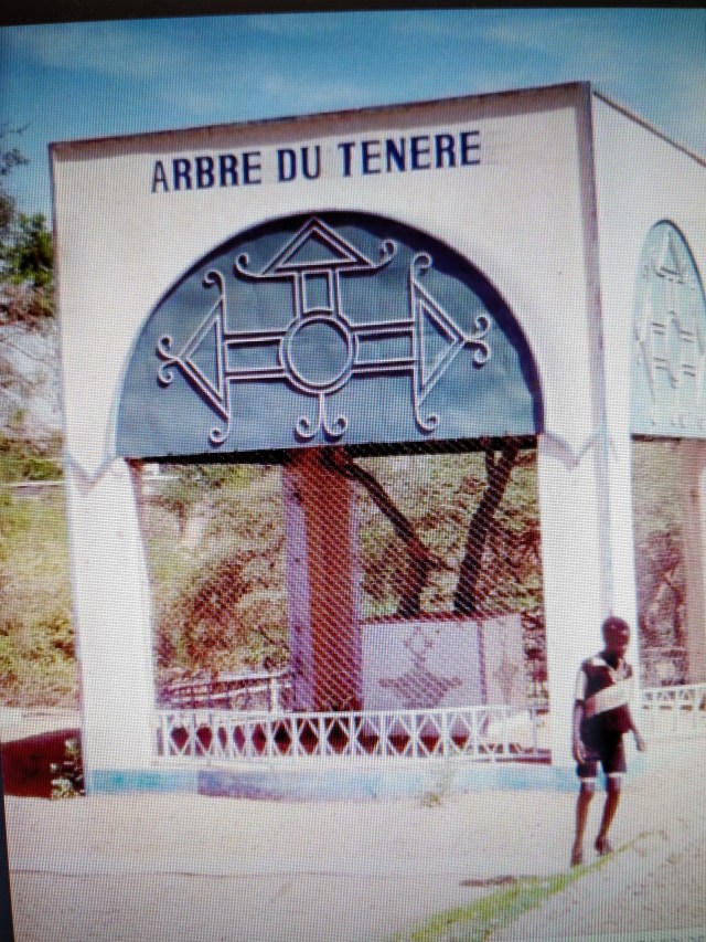 Arboles miticos. el tronco de teneré