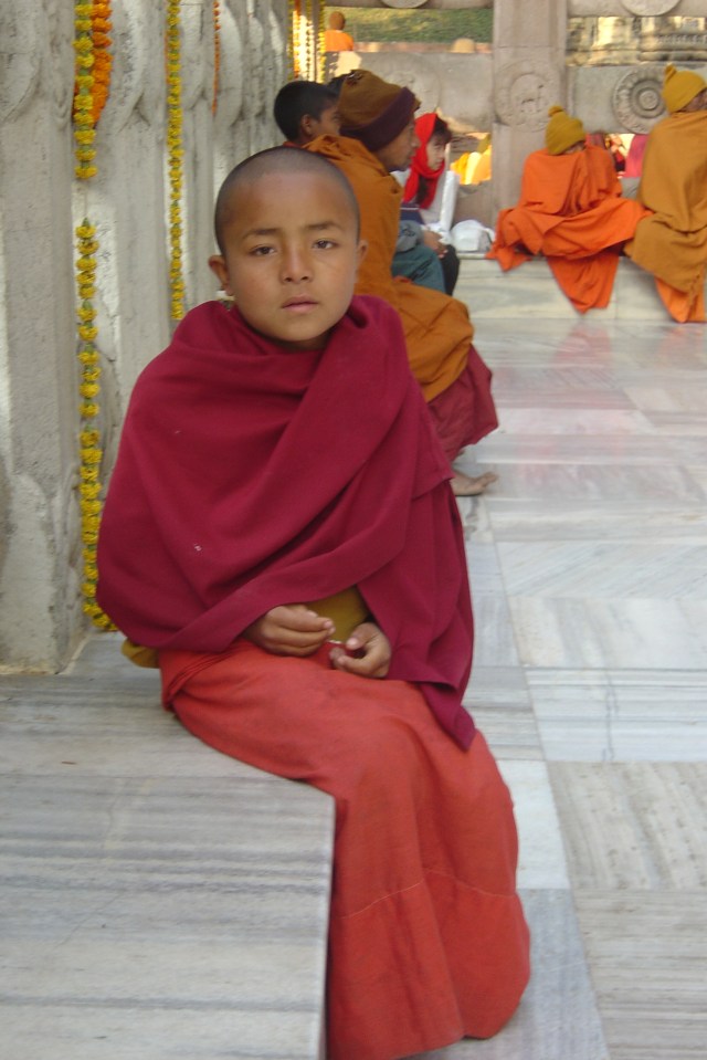 Arboles singulares. Joven monje