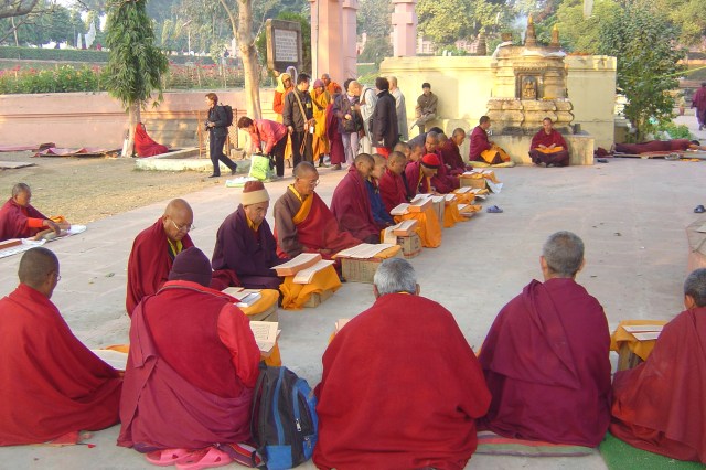 Arboles singulares. Monjes rezando