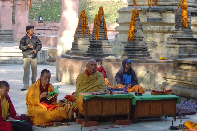 Arboles singulares. Templos y monjes