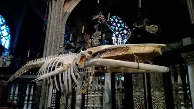 Catedral San Bavón de Gante