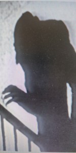nosferatu